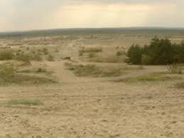 Pustynia Błędowska